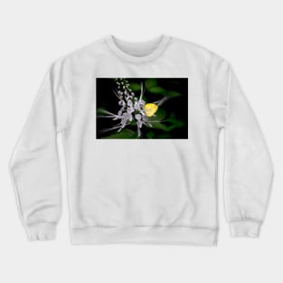 Lemon Migrant Crewneck Sweatshirt